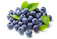 main_home_page001020.jpg