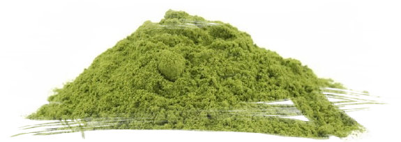 whats_matcha001020.jpg