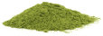 whats_moringa001012.jpg