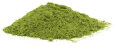 whats_moringa001013.jpg