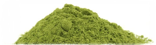 whats_moringa001022.jpg